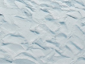 plaster 3d 3D Model
