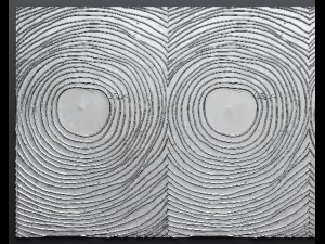panel painting 3D मॉडल