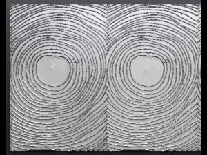 paneel schilderij 3D Model