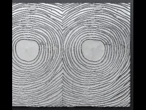 panel painting 3D मॉडल