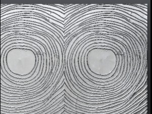 panel painting 3D मॉडल