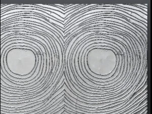 paneel schilderij 3D Model