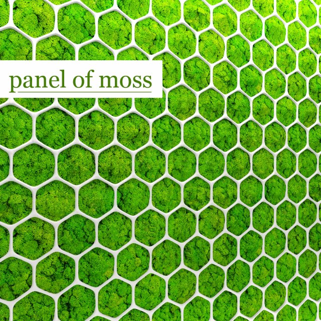 fytowall moss 3d Model 3D .c4d .max .obj .3ds .fbx .stl .blend 