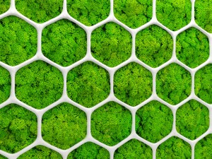 fytowall moss 3d Model 3D