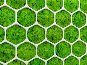 fytowall moss 3d 3D Model