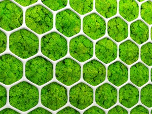 fytowall moss 3d Model 3D