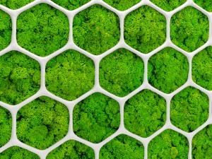 fytowall moss 3d Model 3D