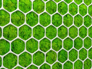 fytowall moss 3d Model 3D
