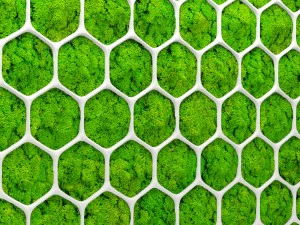 fytowall moss 3d 3D Model