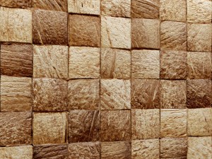 coconut panel 3d Model 3D
