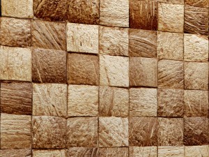 coconut panel 3d Model 3D