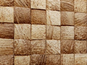 coconut panel 3d Model 3D