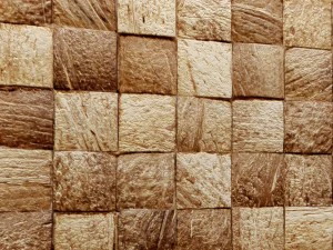 coconut panel 3d 3D Model