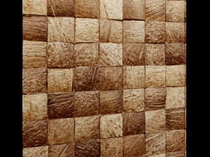 coconut panel 3d Model 3D