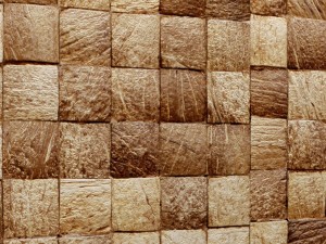 coconut panel 3d Model 3D