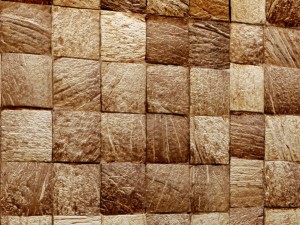coconut panel 3d Model 3D