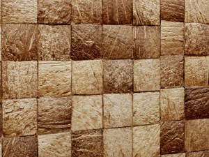 coconut panel 3d Model 3D