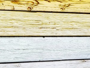 colored planking 3d 3D 模型