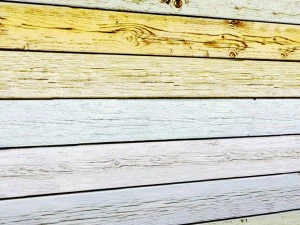 colored planking 3d 3D Model