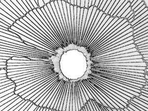 wall decor futuristic coral panel 3D Model