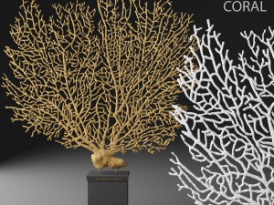 coral 3D 모델