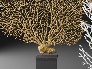 coral Model 3D