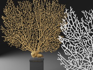 coral Model 3D