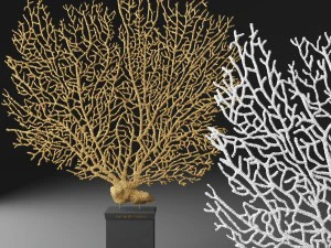 coral 3D Model