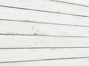 나무 패널 3d 3D 모델