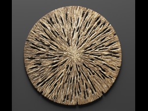 rotten wood wall art - set 3D Model