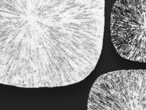 zandstenen vierkante muurkunst - set 3D Model