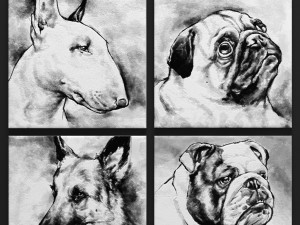 paintings collection dogs 3d 3D Model