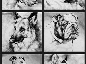 paintings collection dogs 3d 3D Model