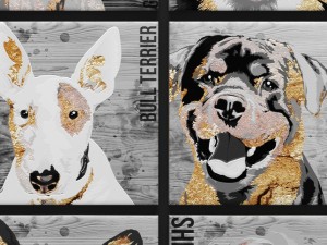 paintings collection dogs 3d 3D Model
