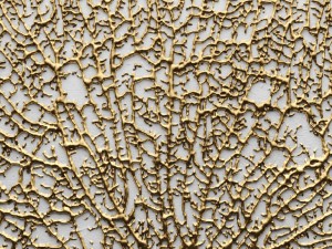 panel painting 3d coral Modelo 3D
