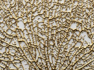 panel painting 3d coral 3D Model