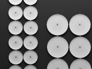 decorazione murale dei piatti fornasetti Modello 3D