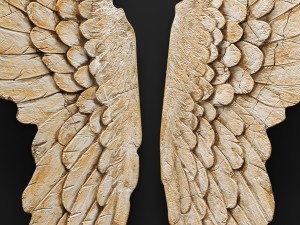 thelma wing wall dcor 3D Модель