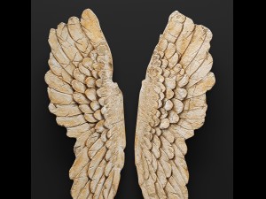 thelma wing wall dcor 3D Модель