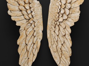 thelma wing wall dcor 3D Модель