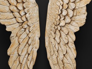 thelma wing wall dcor 3D Модель