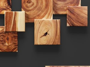 square standout wall art set of 8 3D Model