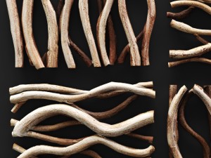 vine wall tile 3D Model