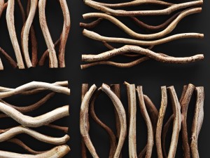 vine wall tile 3D Model