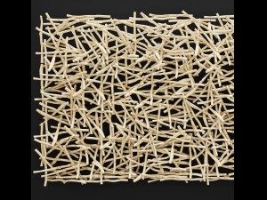 stick wall art 3Dモデル