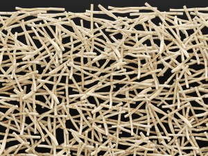 stick wall art 3Dモデル