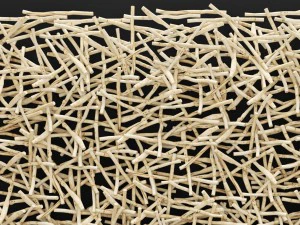 stick wall art 3D Model