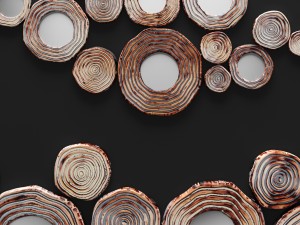 circle cluster wall decor 3Dモデル