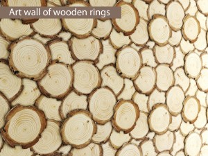 art wall of wooden rings 3D Model