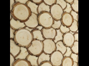 art wall of wooden rings 3D Model